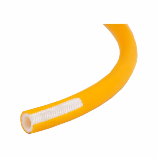 Tubo flessibile per spruzzatura ad alta pressione intrecciato (Pw-1001)